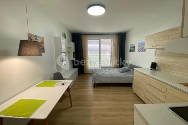 Pronájem bytu Garsoniéra 35 m², Nad Úžlabinou, Praha