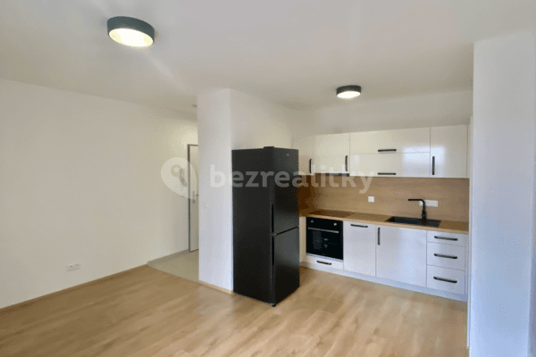 Pronájem bytu 2+kk 40 m², Prokopa Holého, Slaný