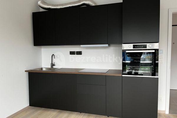 Pronájem bytu 1+kk 35 m², Olgy Havlové, Prague