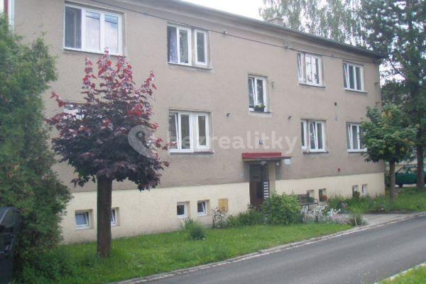 Pronájem bytu 2+1 50 m², Hornická, 