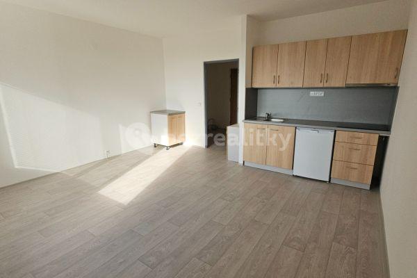 Pronájem bytu 1+kk 33 m², Kubíkova, Brno