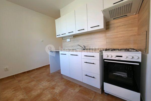 Pronájem bytu 2+1 54 m², Mánesova, 