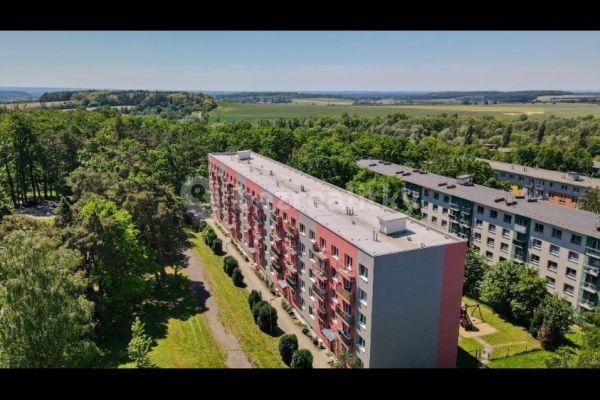 Pronájem bytu 2+1 52 m², Komenského, Milovice