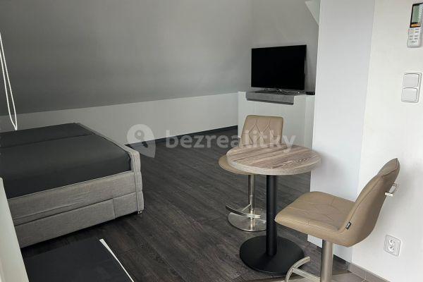 Pronájem bytu 1+kk 45 m², U Svodnice, Praha