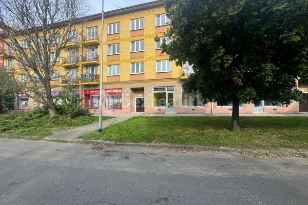 Pronájem bytu 2+1 54 m², Čapkova, 