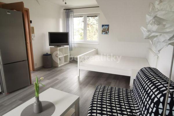 Pronájem bytu 1+kk 34 m², Holekova, Praha