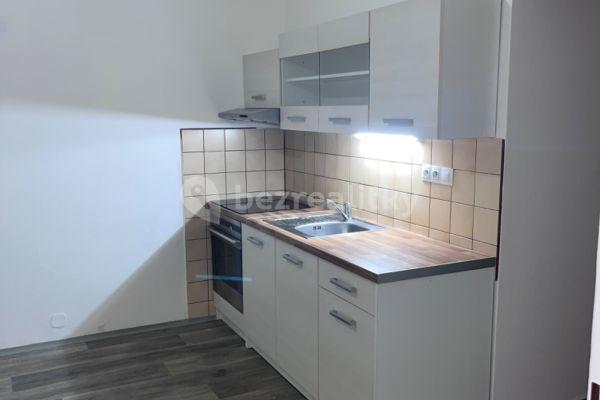 Pronájem bytu 1+1 38 m², Na Pěšině, Děčín