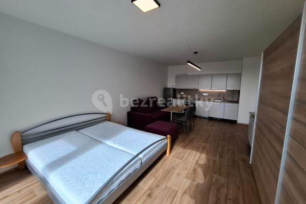 Pronájem bytu 1+kk 40 m², Řepova, Brno