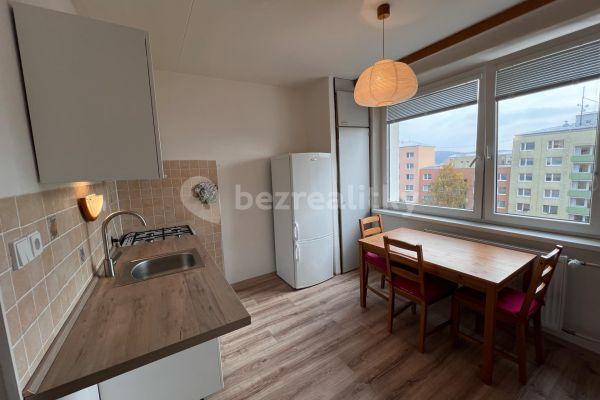 Pronájem bytu 1+1 40 m², Ečerova, Brno