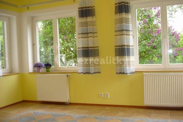 Pronájem bytu 1+kk 28 m², K Mohyle, Praha